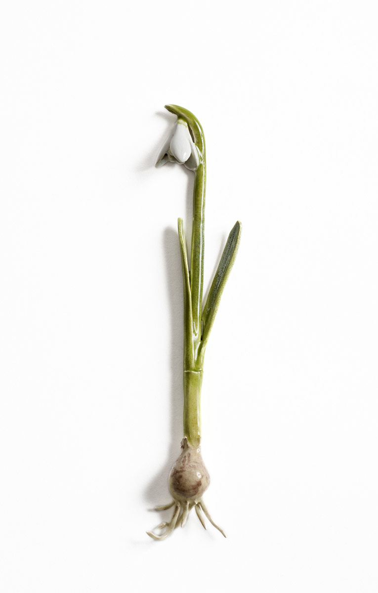 Vintergæk, åben blomst - keramisk skulptur af Lea Nielsen.